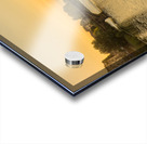 Florence Acrylic print