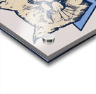 Vintage Villanova Wildcats Art Acrylic print