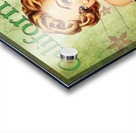 Poster California Brand Glove Acrylic print