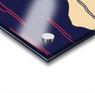 as  27  Acrylic print