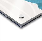 as  32  Acrylic print