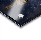 Assateague Indian at the OC Inlet Night Sky Acrylic print