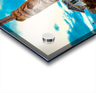 Assateague Indian at the Ocean City Inlet Acrylic print