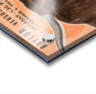 1965 Texas vs. Baylor Football Ticket Canvas Acrylic print