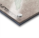 1974 Philadelphia Eagles Football Club Vintage Art Acrylic print