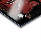 Vintage Arkansas Razorback Art Acrylic print