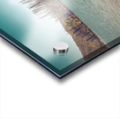 Too Much Whiskey Acrylic print