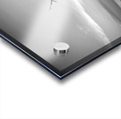 Iconic Tree Sunrise Driftwood Beach Black and White Acrylic print