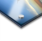 Iconic Tree Sunrise at Driftwood Beach Jekyll Island Acrylic print