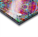 A.P.Polo - Anima Mundi Acrylic print