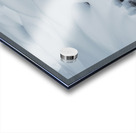 Snow study Acrylic print