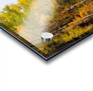 Solace Acrylic print