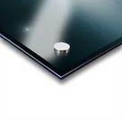 The Loner Acrylic print