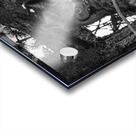 The Hypnotist Acrylic print