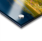 The Apocalypse Acrylic print