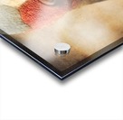 Solace Acrylic print