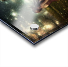 Fields of Stardust Acrylic print