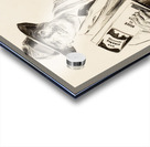 War Finance Comittee House to House Acrylic print