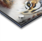 Tigre Acrylic print