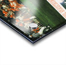 1981 National Champions Clemson Football Poster Acrylic print