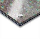 WILD IS MY FAVORITE COLOR SERIES-6 Acrylic print