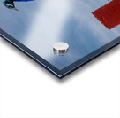 WILD IS MY FAVORITE COLOR SERIES- Acrylic print