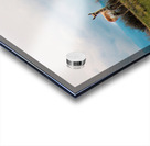 Where The Antelope Roam Acrylic print