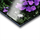 9A0CA0D8 1CB1 42C3 9CA2 CCF4751CBA0B Acrylic print