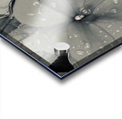 8DF11503 D7DB 4C22 9B4E 95868F230A85 Acrylic print