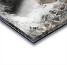 Desolation Row Acrylic print