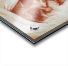 Kirpal Acrylic print