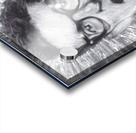 The Dreamer Acrylic print