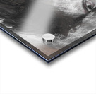 Idiot Wind New York Sessions Acrylic print