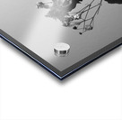 SYMBIOSIS Acrylic print