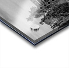 Quiet Ease Acrylic print