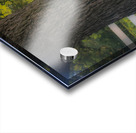 Backyard Swing Acrylic print