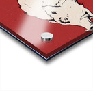 Retro Seventies Go Hogs Arkansas Razorback Art | Row 1 Acrylic print