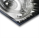 go  zu  m ayd  n Acrylic print