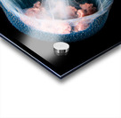 Jellyfish Pelagia Noctiluca - Taken at Gordo Banks near Cobo San Lucas  Acrylic print