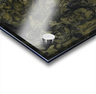 The Arts: Pareidolia Acrylic print