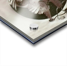 Girl with Doves Acrylic print