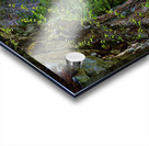 Crystal Waters  Acrylic print