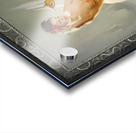 Perfection by Gil Elvgren Vintage Illustrations Xzendor7 Old Masters Reproductions Acrylic print