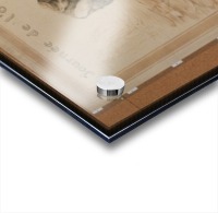 Vintage---Journey-3 Acrylic print