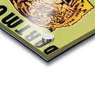 1939 Dartmouth vs. Princeton Football Ticket Stub Art Acrylic print