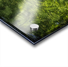 the messenger Acrylic print