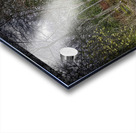 stream Acrylic print