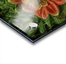 visitor two Acrylic print