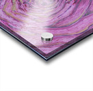 pink rose Acrylic print