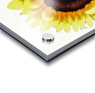 Sunny Sunflower Acrylic print